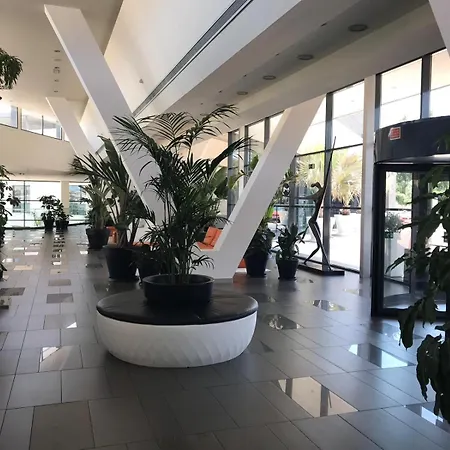 La (adults Only) Algorfa